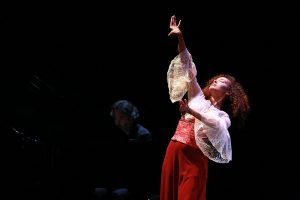 Carmen Flamenco - danse- flamenca - spectacle - paris - espagne - Andalousie - bizet - Merimee - syma news - Syma mobile - florence yeremian - jean luc palies - ana Perez - Magali Palies - Theatre - Opera - canto 