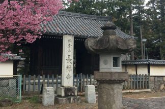 Takeda Shingen kofu japon temple bouddhisme histoire sengoku yamanashi prefecture chateau japonais