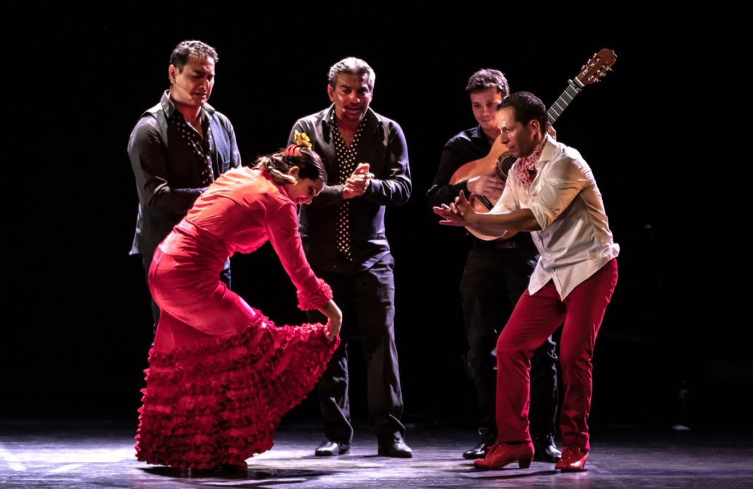 Kuky Santiago - flamenco - danse - Bordeaux - syma news - florence yeremian - Donde sea pero contigo - Jessica Vicente - bailar - bailaor - zapateados - spectacle - art - artistes