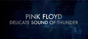 Pink Floyd - delicate sound of thunder - floyd - groupe - music - warner - warner music - syma news - concert - dvd - blueray - concert - live - rock - rockband