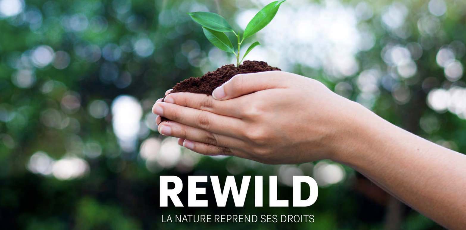 Rewild - M6 - semaine green - réensauvagement - documentaire -