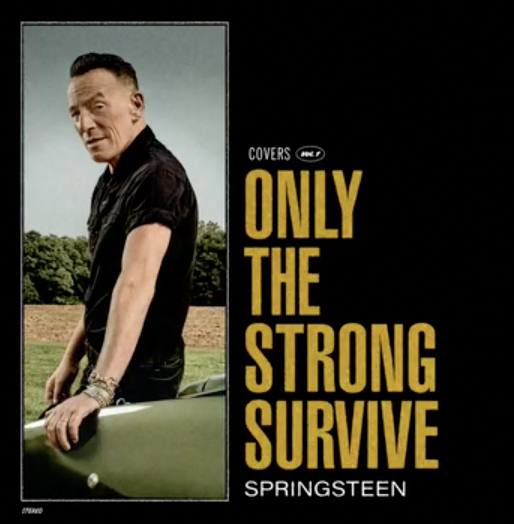 Bruce Springsteen - Only the strong survive -