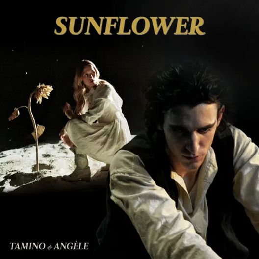 Tamino - Angèle - Sunflower -