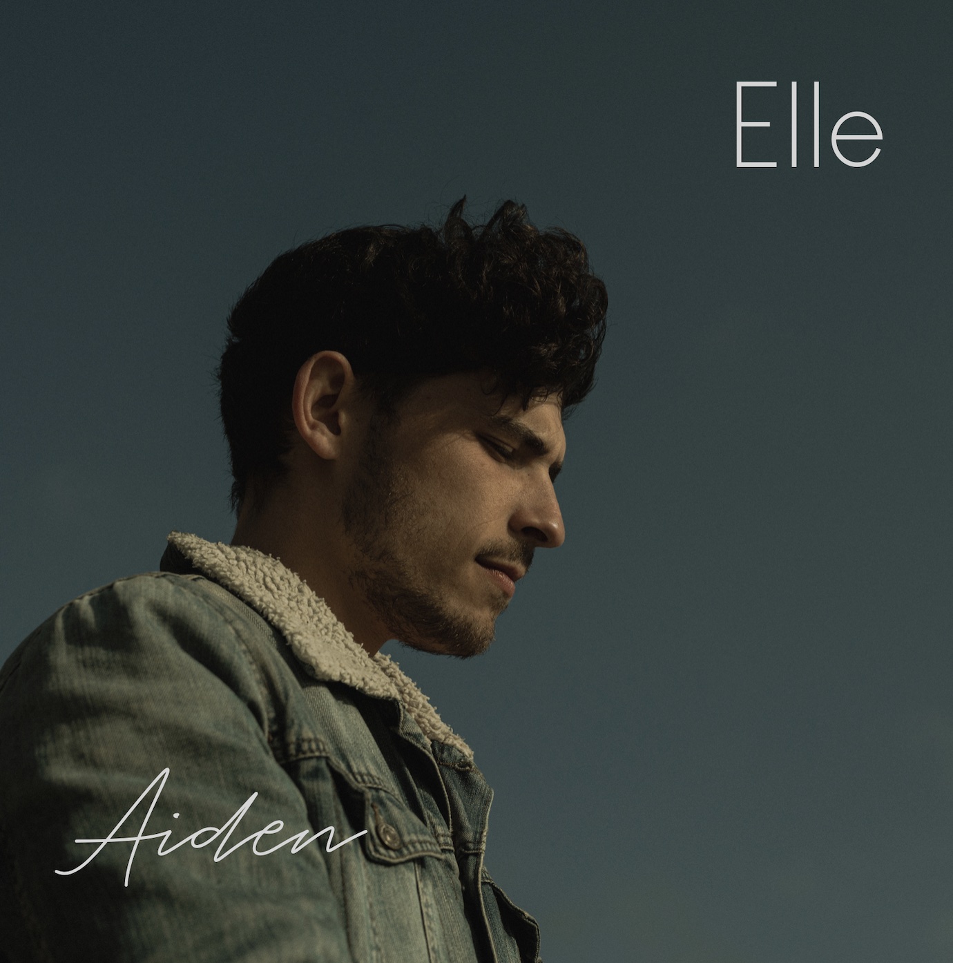 Aiden - The Voice 12 - Elle -