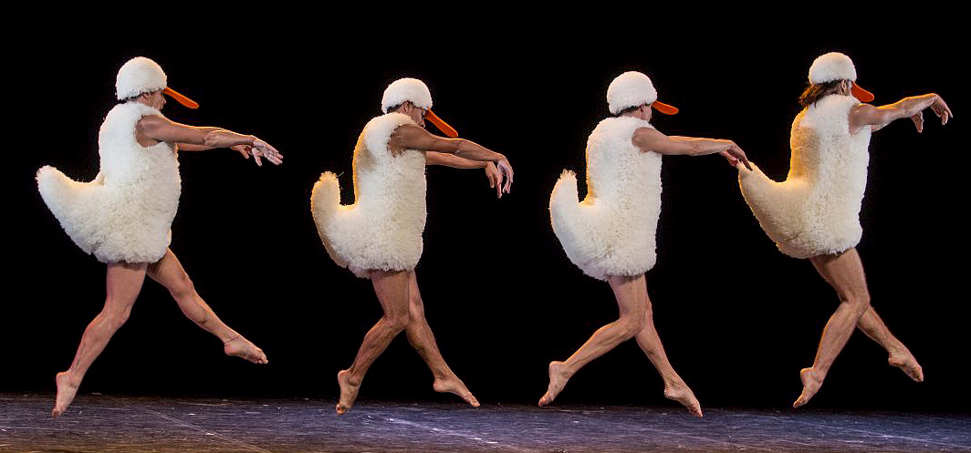 Tutu Le Spectacle Des Chicos Mambo Va Vous Tutufier