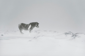 Christophe Jacrot - Photographie - Photo - Galerie de l'europe - SYMA - Florence Yeremian - froid - hiver - En dessous de zero - russie - siberie - islande - japon - Norilsk - vercors - snjor