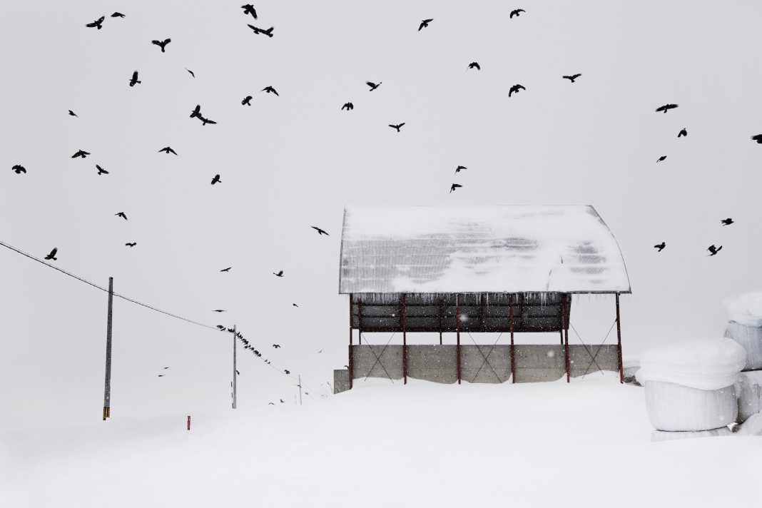 Christophe Jacrot - Photographie - Photo - Galerie de l'europe - SYMA - Florence Yeremian - froid - hiver - En dessous de zero - russie - siberie - islande - japon - Norilsk - vercors - snjor