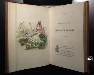 Drôles de petites bêtes - Antoon Krings - Musée des arts décoratifs - exposition - syma news - florence yeremian - expo - enfants - lecture - livre - dessin - loulou le pou - mireille l’abeille - illustration - MAD - Arts Déco