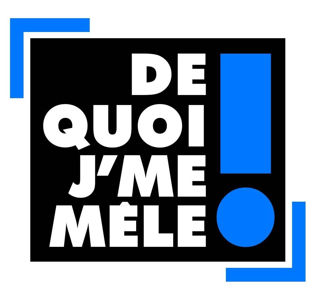 De quoi j'me mêle - C8 - Eric Naulleau - talk show - culture