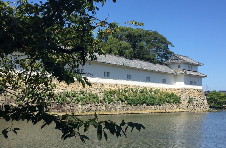 Hikone château japon histoire shiga prefecture sengoku culture architecture