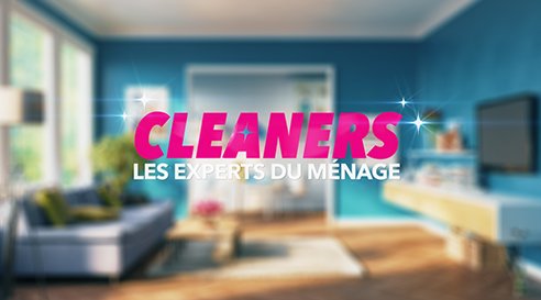Cleaners les experts du ménage - TFX - divertissement - télé réalité - ménage
