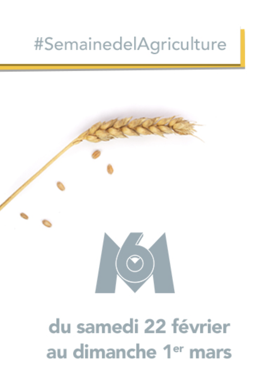 Groupe M6 - agriculture 