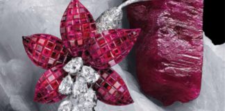 Clip Fuchsia, 1968 Platine, or jaune, Serti Mystérieux rubis, diamants Collection Van Cleef & Arpels