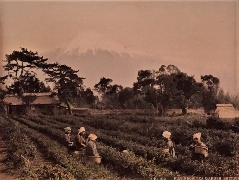 Japon japonisme exposition art peinture estampe musée guimet asiatique hokusai hiroshige photographie mont fuji spiritualité histoire