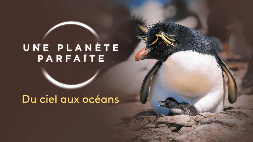 Une planète parfaite - documentaire - France 2 - écologie - du ciel aux océans -