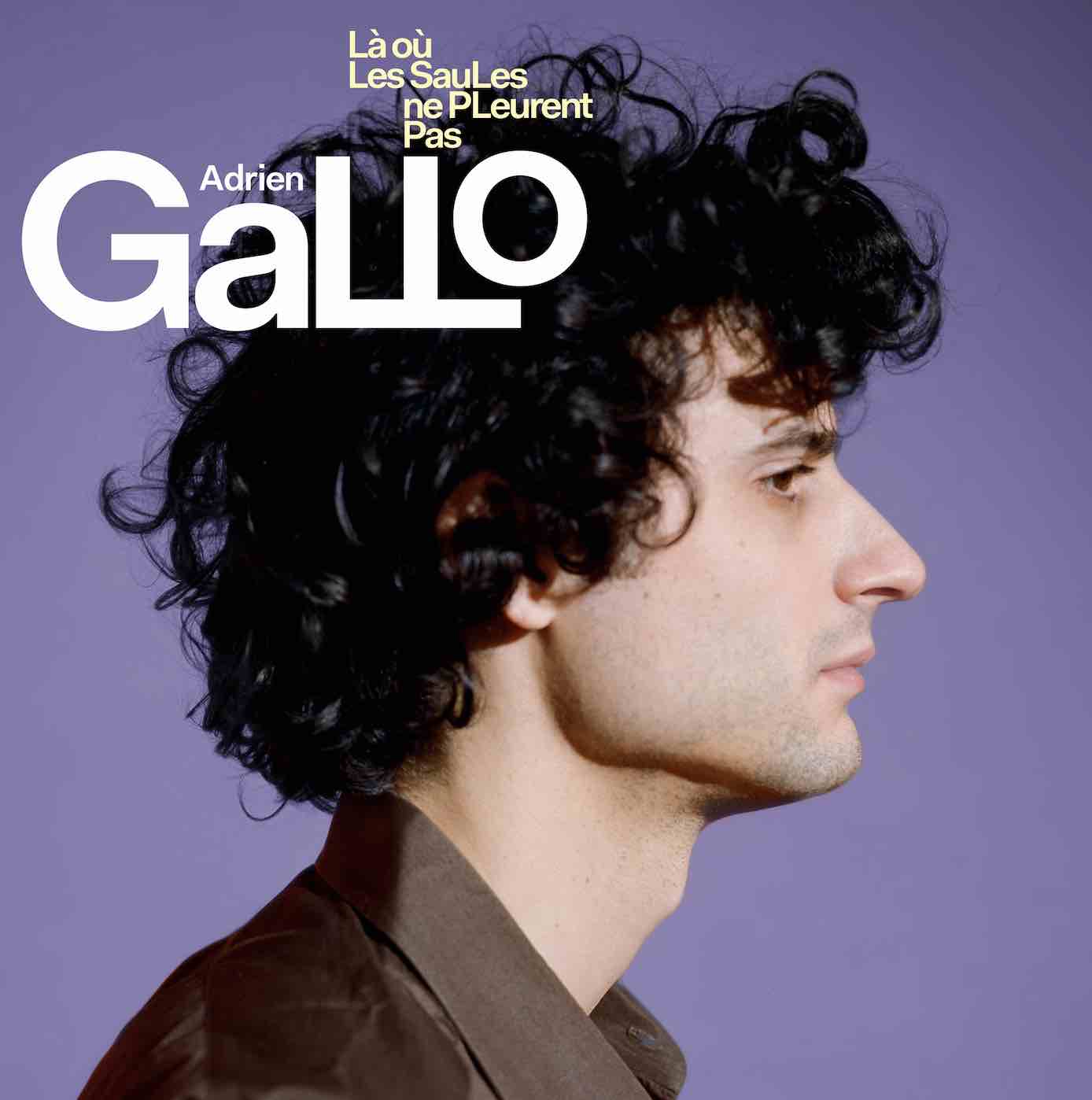 Adrien Gallo - Là où les saules ne pleurent pas album