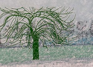 arbre-expo-hockney-orangerie-syma-news-yeremian-gopikian