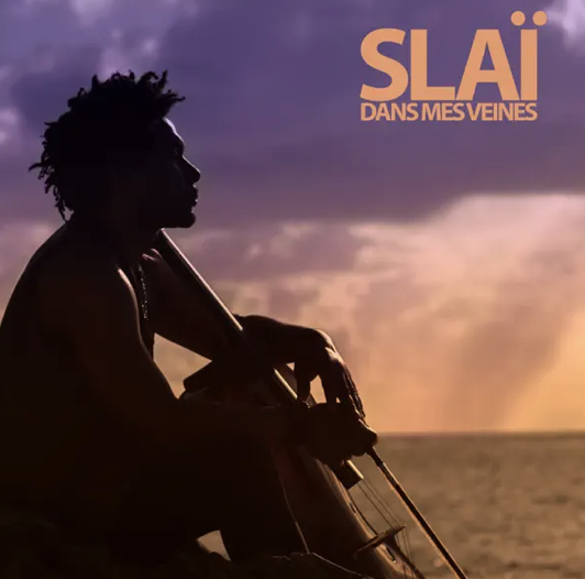 Slaï - Dans mes veines -