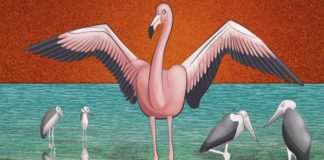 Flamants-roses-nicola-sergio-jazz-syma-news-gopikian-yeremian