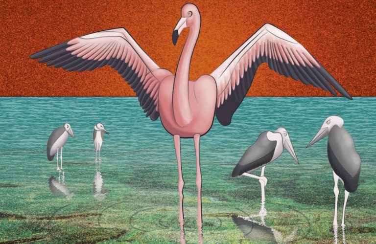 Flamants-roses-nicola-sergio-jazz-syma-news-gopikian-yeremian