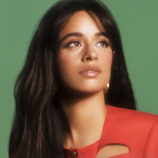 Camila Cabelo - I'll be home for christmas