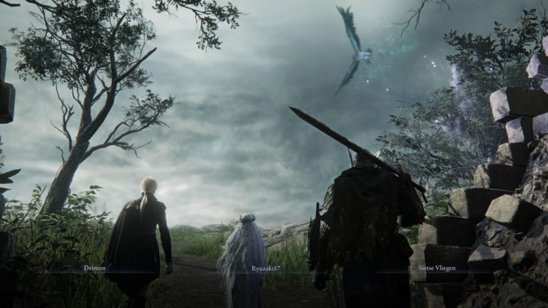 elden ring nightreign from software bandai namco jeu de role RPG heroic fantasy ps5 xbox series pc steam jeu en ligne coopération
