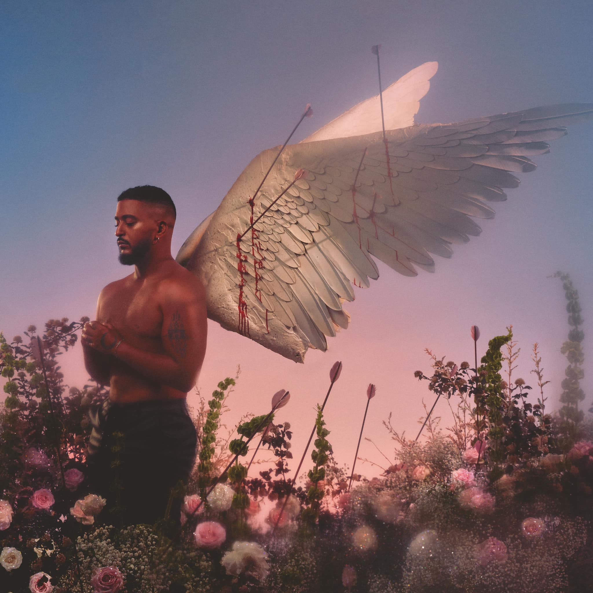 Slimane - Chroniques d'un cupidon