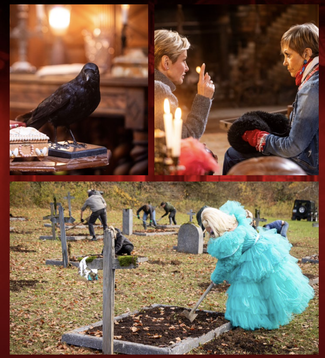 Les traitres - saison 6 - M6