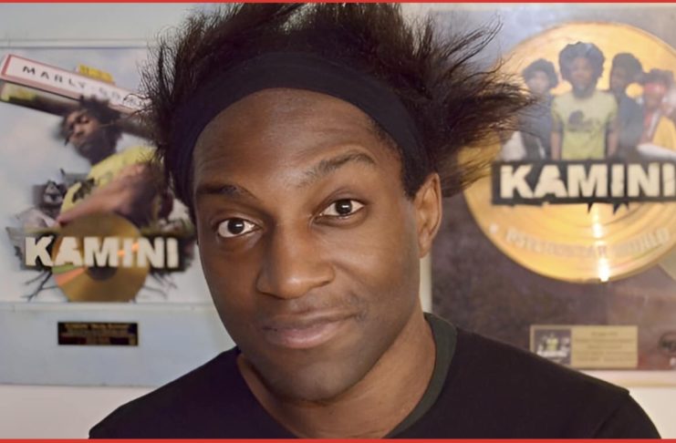 Kamini - 20 ans de carrière - Marly Gomont -